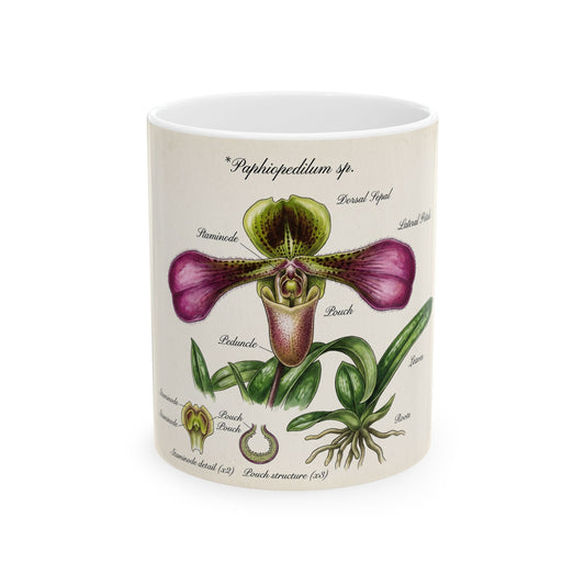 Botanical Orchid Diagram Mug — Vintage Paphiopedilum Illustration Ceramic Coffee Cup (11oz/15oz)