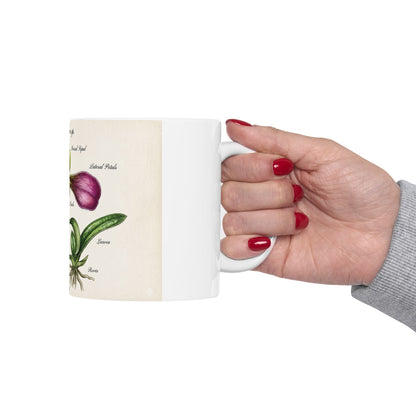 Botanical Orchid Diagram Mug — Vintage Paphiopedilum Illustration Ceramic Coffee Cup (11oz/15oz)