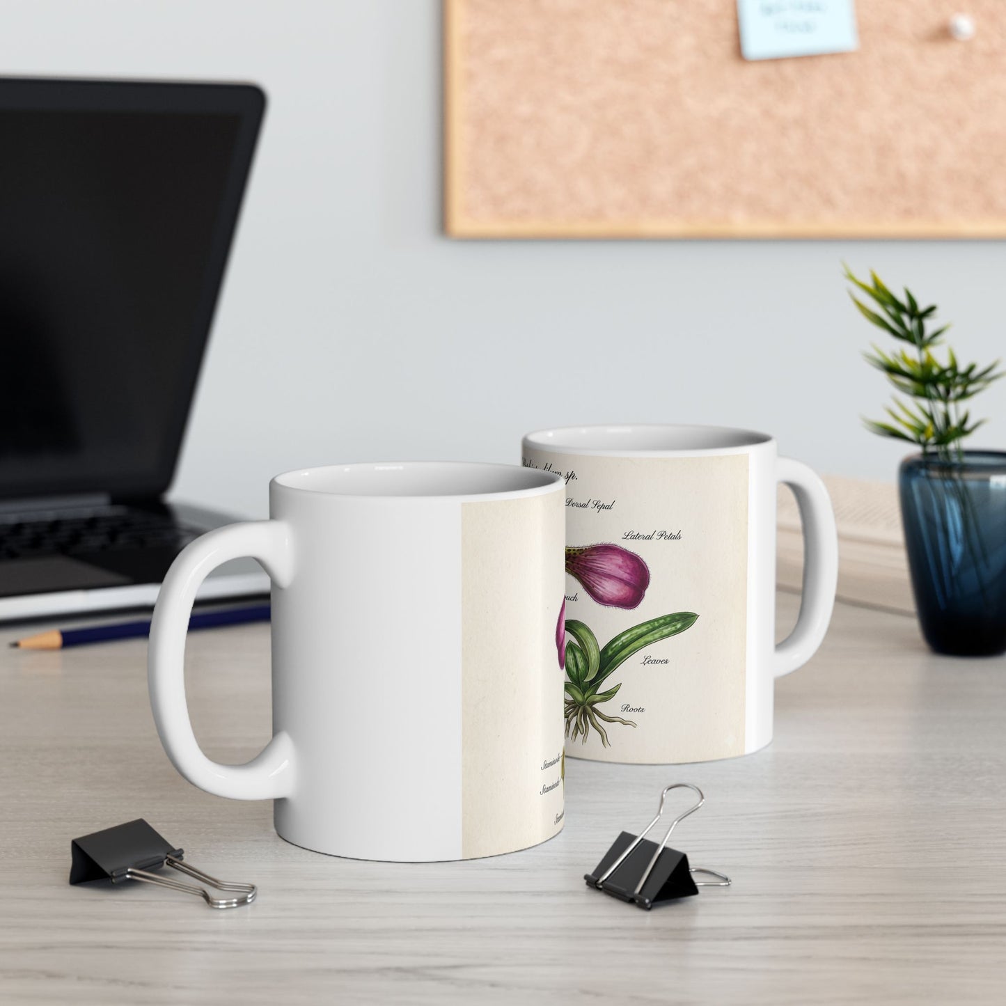 Botanical Orchid Diagram Mug — Vintage Paphiopedilum Illustration Ceramic Coffee Cup (11oz/15oz)