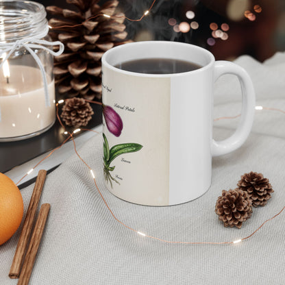 Botanical Orchid Diagram Mug — Vintage Paphiopedilum Illustration Ceramic Coffee Cup (11oz/15oz)