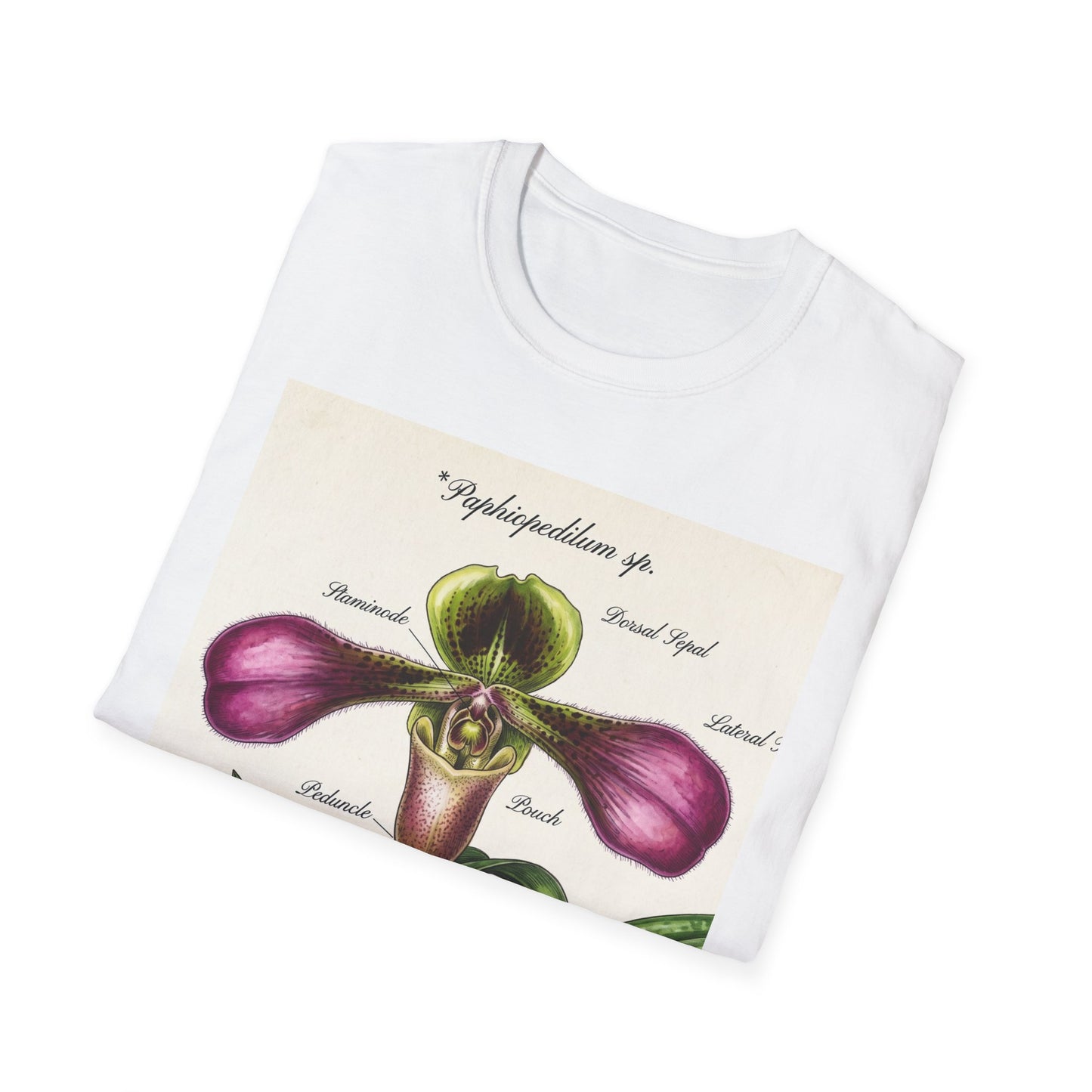 Botanical Orchid T-Shirt — Vintage Paphiopedilum Illustration Tee