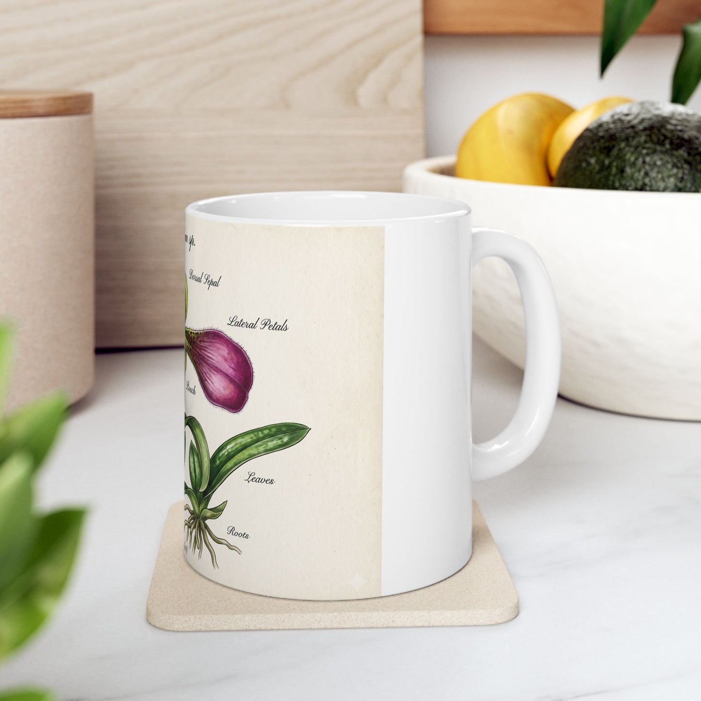 Botanical Orchid Diagram Mug — Vintage Paphiopedilum Illustration Ceramic Coffee Cup (11oz/15oz)