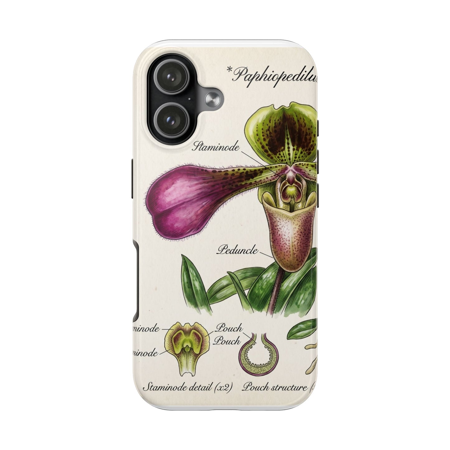Orchid Botanical Tough Phone Case — Vintage Paphiopedilum Illustration
