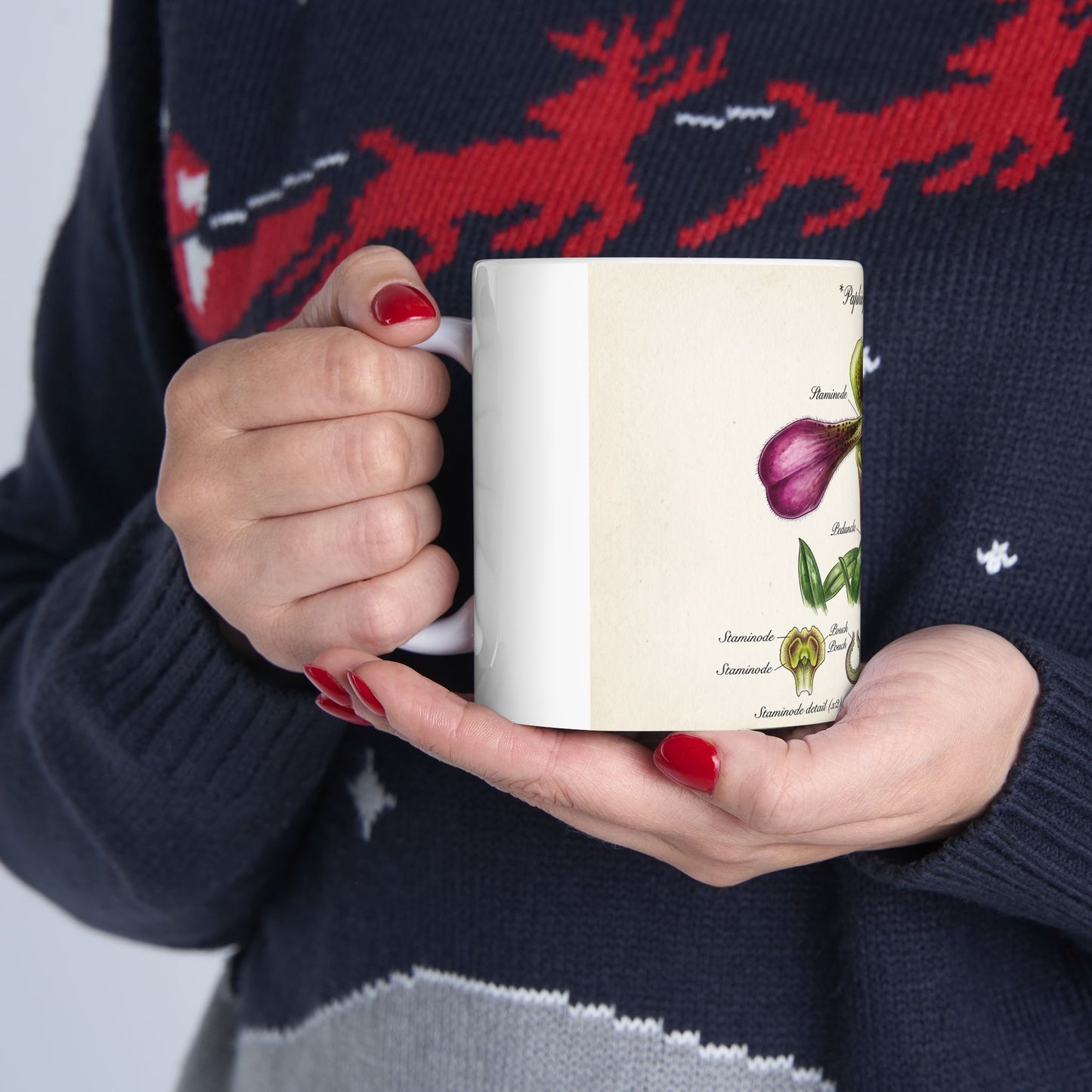 Botanical Orchid Diagram Mug — Vintage Paphiopedilum Illustration Ceramic Coffee Cup (11oz/15oz)