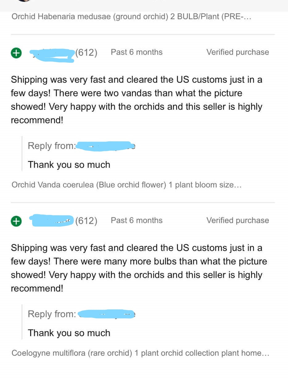 Feedback & Gallery